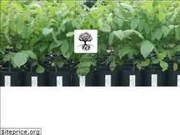 Sites similar to oreh-udm.ru