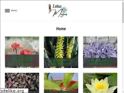 Sites similar to organic-raised-bed-gardening.com