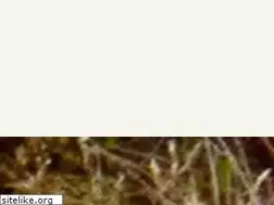 Sites similar to organicexchange.org
