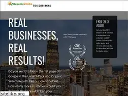 Sites similar to organiclicks.com