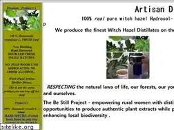 Sites similar to organicwitchhazel.com