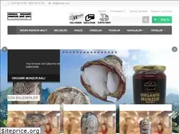 Sites similar to organikmunzurbal.com