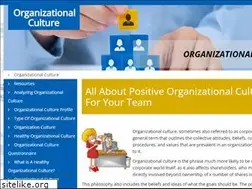 Sites similar to organizationalculture101.com