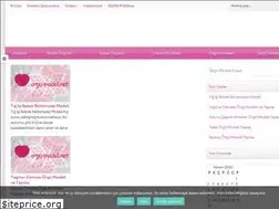 Sites similar to orgu-modeli.net