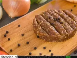Sites similar to oriashamburger.hu