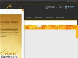 Sites similar to orientcorporation.com