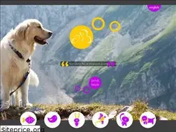 Sites similar to orijinpet.com.tr