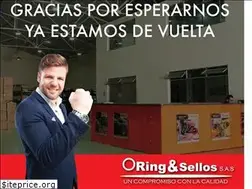 Sites similar to oring-sellos.com