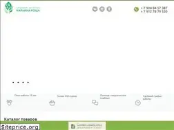 Sites similar to orinina.ru