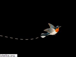 Sites similar to orioles.org