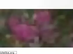 Sites similar to orlandocelebrationgardens.com