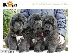Sites similar to ormedikajal.it