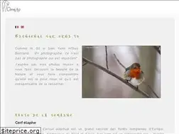 Sites similar to orni.to