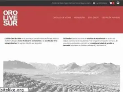 Sites similar to orolivesur.com