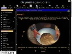 Sites similar to orpaillage.fr