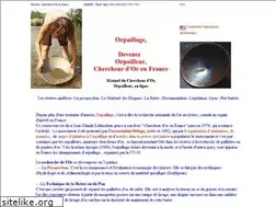 Sites similar to orpailleur.free.fr