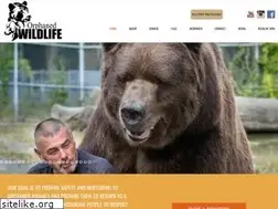 Sites similar to orphanedwildlife.org