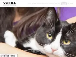Sites similar to orphankittenrescue.com