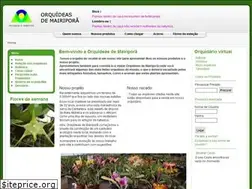 Sites similar to orquideasdemairipora.com.br
