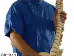 Sites similar to ortmedrehab.com