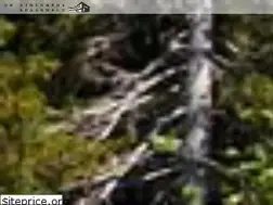 Sites similar to ortstockhaus.ch