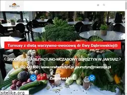 Sites similar to orwbursztyn.pl