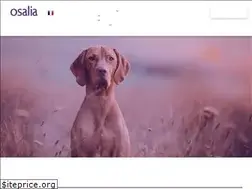 Sites similar to osalia.vet