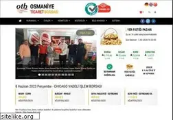 Sites similar to osmaniyetb.org.tr