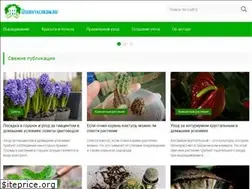 Sites similar to osobnyachkom.ru