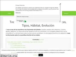 Sites similar to osos10.com