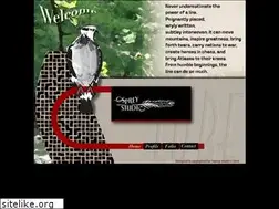 Sites similar to ospreystudio.com