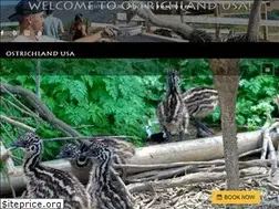 Sites similar to ostrichlandusa.com