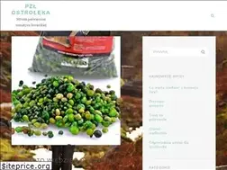 Sites similar to ostrolekapzlow.pl
