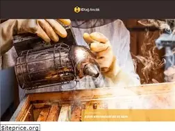 Sites similar to otagaricilik.com