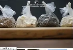 Sites similar to otamaya.com