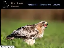 Sites similar to oteando.org