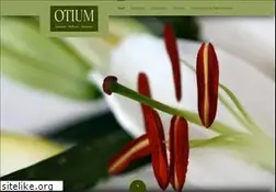 Sites similar to otium-fuerth.de