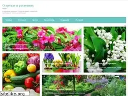 Sites similar to otsvetax.ru