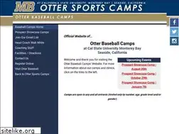 Sites similar to otterbaseballcamps.com