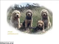 Sites similar to otterhounds.de
