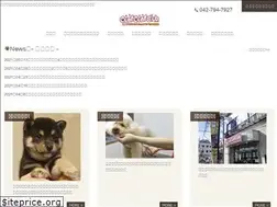 Sites similar to ouafouafclub.com
