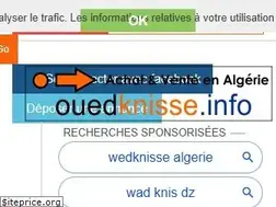 Sites similar to ouedknisse.info