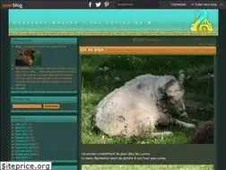 Sites similar to ouessant-mouton.over-blog.com