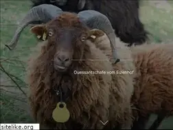 Sites similar to ouessant.de