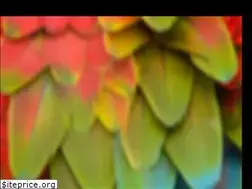 Sites similar to ouranimalsourearth.com