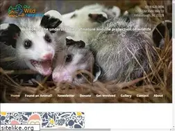 Sites similar to ourwildneighbors.org