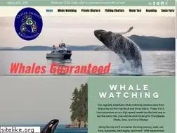Sites similar to outerislandx.com