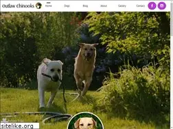 Sites similar to outlawchinooks.com