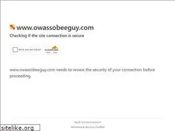 Sites similar to owassobeeguy.com