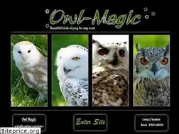 Sites similar to owl-magic.com